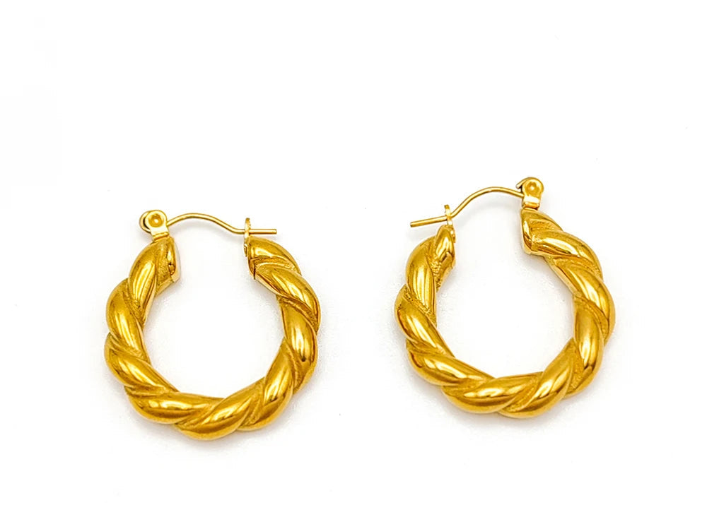 Twist Earrings