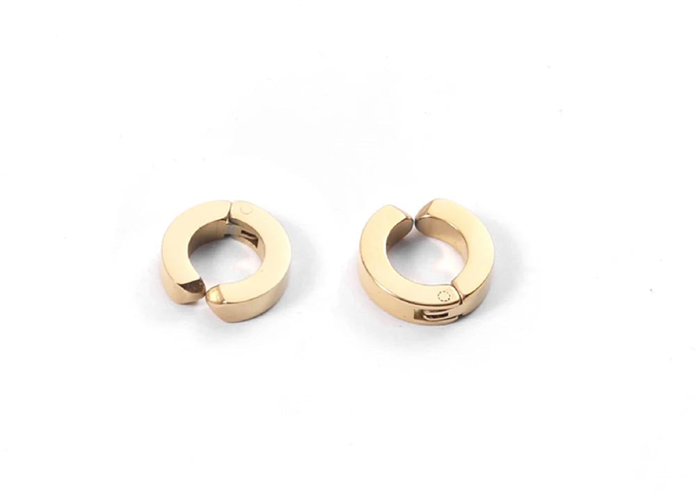 Buckle Earrings